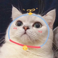稀土光谱学